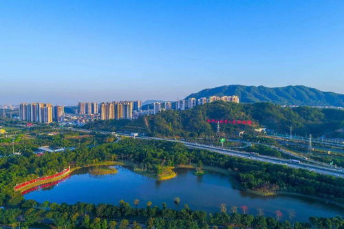 中山,滿城 中國紅