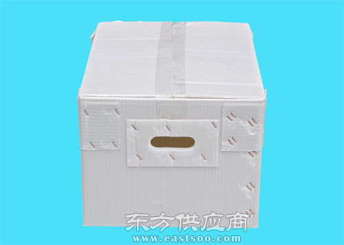 中山鈣塑箱廠家,飛燕塑膠制品 已認證 ,鈣塑箱圖片