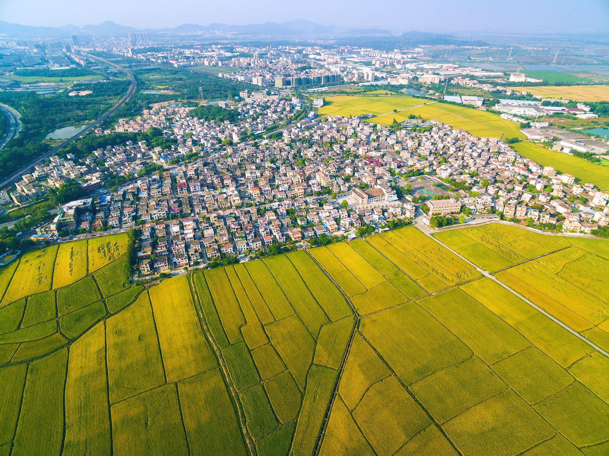 中山崖口村，珠三角特殊的存在，至今保留著人民公社制度