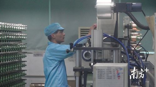 邊工作邊免費讀大學,中山肇慶政企聯動圓學子大學夢