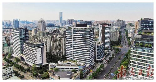 在中山,辦事真的快