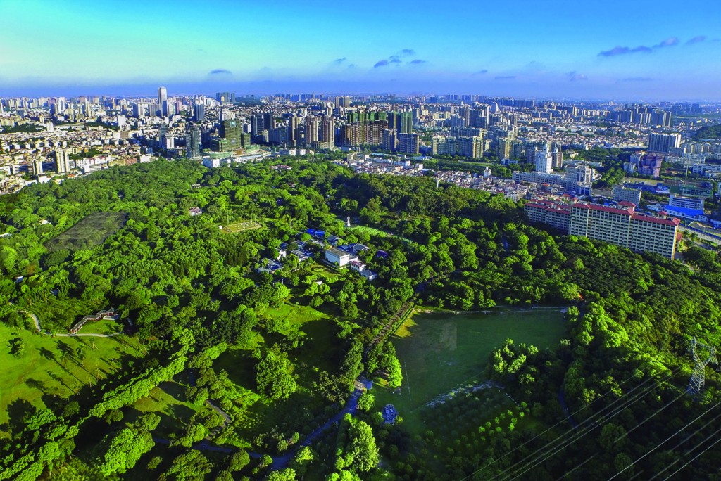 中山:加大生態文明軟硬件建設 暢享美麗“綠”動生活