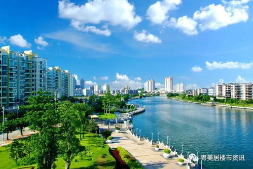 2021中山 有哪些