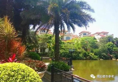 中山石歧 開發商特價房 準現房 官方聯系電話