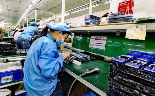 在深圳工廠里,我們找到了淘特的 增長密碼