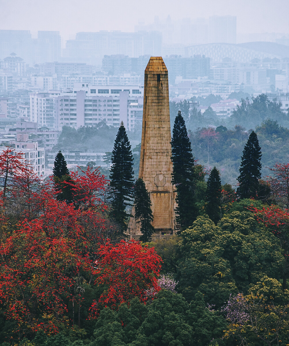 2017.6.14英雄花與中山紀(jì)念碑
