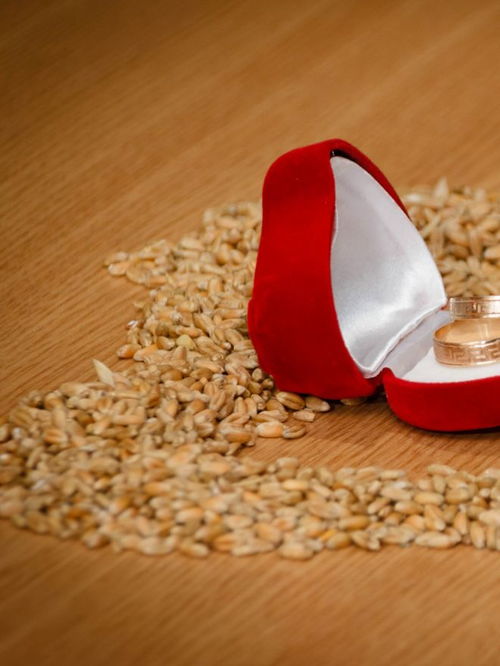 中山產(chǎn)品圖片拍攝公司推薦選擇指南